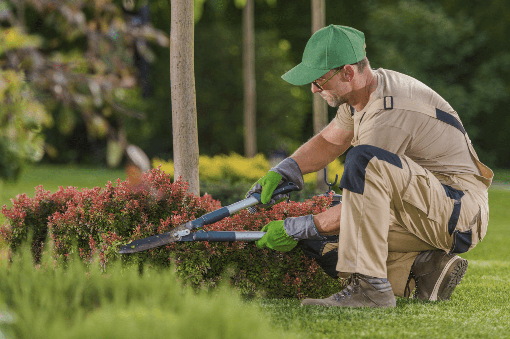 5 Ways Landscapers Keep Commercial Properties Looking&nbsp;Immaculate